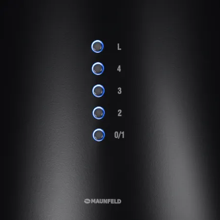 Кухонная вытяжка MAUNFELD Lee Wall 39 Long Черный