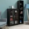Тумба СИРИУС с двумя стеклянными дверьми, цвет Дуб Венге