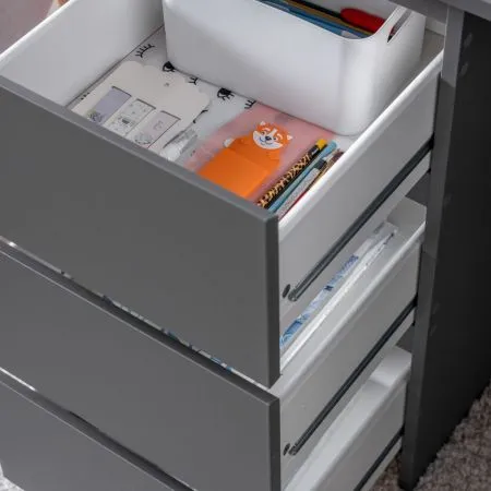 2.03.06.090.4 КАСТОР стол письменный 3 ящика 116х65 RU серый