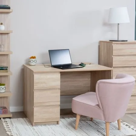 2.03.06.090.3 КАСТОР стол письменный 3 ящика 116х65 RU сонома